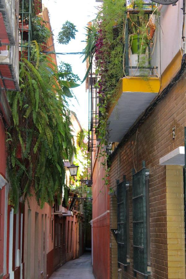 Green Street Севілья Екстер'єр фото